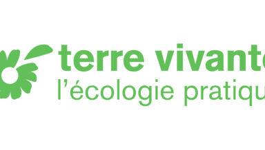 TV-Logo-Officiel-675812638b890.jpg TV-Logo-Officiel-675812638b890.jpg